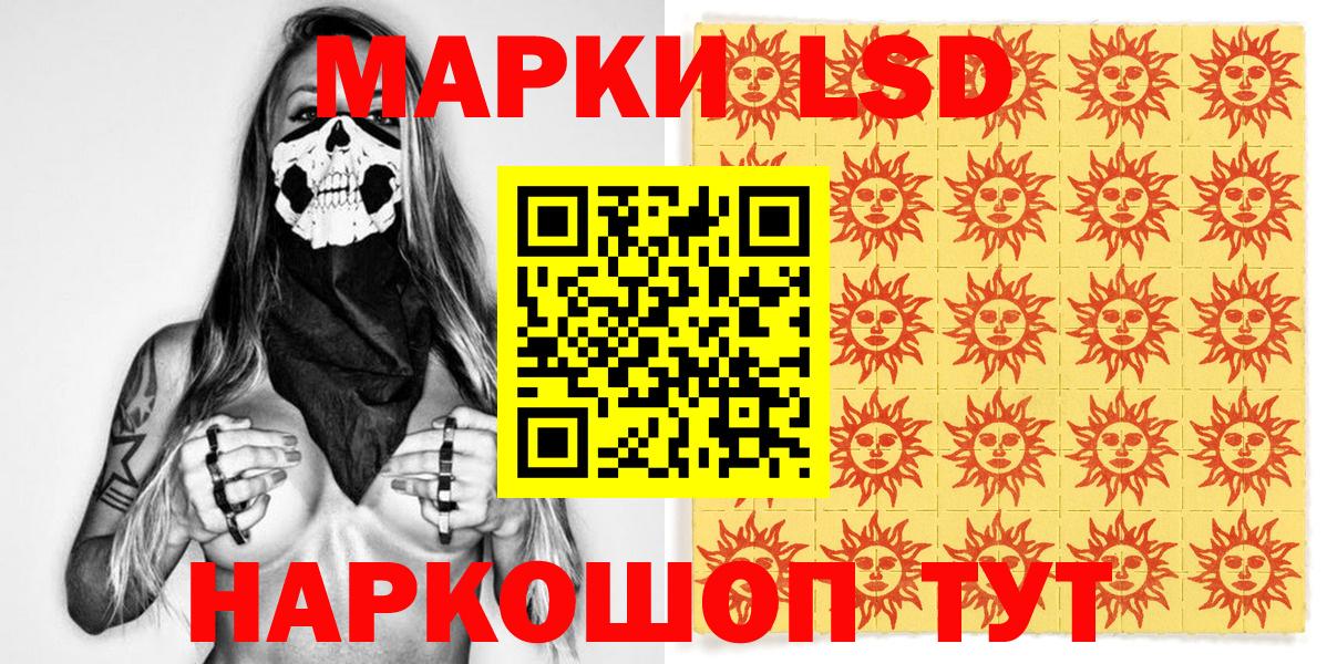 APVP Владимир