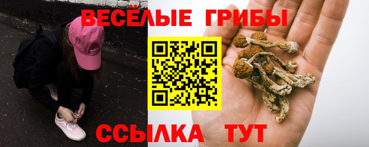 Галлюциногенные грибы мухоморы Владимир